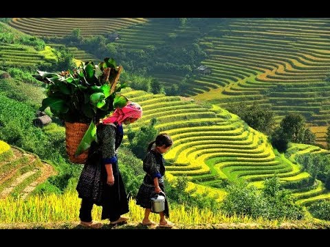  Hãy cố gắng biết lấy mình là ai !
